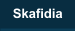 Skafidia