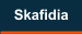 Skafidia